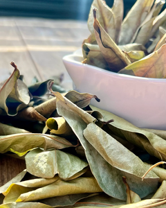 Fabricant de feuilles de corossol séchées du Vietnam - Product Image 1