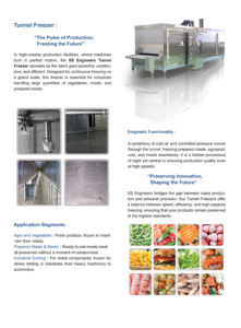 Túnel congelador - Product Image 6