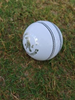 Nouvelles balles de cricket en cuir de qualité supérieure, cousues à la machine, 2 pièces