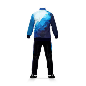 Chándales para hombres, personalizado, ajustado, informal, a la moda, con logotipo personalizado, servicio OEM, ropa deportiva transpirable con capucha para hombres - Product Image 3