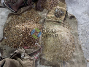 Goma de Acacia pura en polvo árabe espesante de alimentos naturales goma senegalesa árabe Rikaz Group producto agrícola - Product Image 3