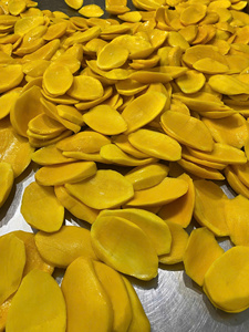 Mango seco Premium para exportación al por mayor Mango seco de grado naturalmente dulce Perfecto para minoristas y mercados internacionales - Product Image 6