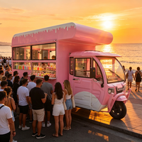 Anpassbarer Mobiler Elektrischer Food-Truck-Anhänger mit Gewerblicher Ausstattung für Ingwer-Kurkuma-Wellness-Shots, Fast Food und Eiscreme