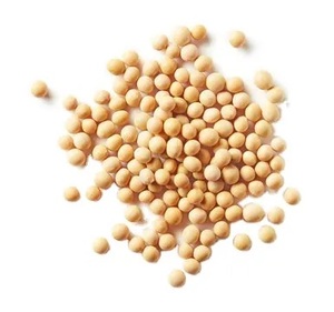 Frijoles de soja sin OGM/Frijoles de soja con alto contenido de proteínas Semillas de soja y semillas de soja - Product Image 4