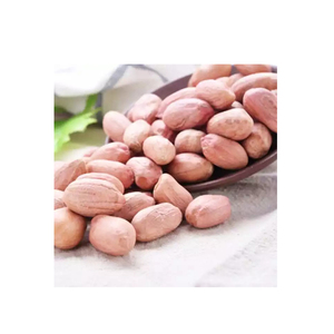 Cacahuetes Premium al por mayor, precio asequible, frescos y a granel - Product Image 2