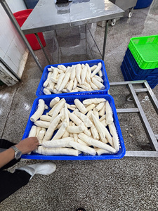 มันสำปะหลังแช่แข็งราคาดีแพ็คจำนวนมาก - Product Image 2