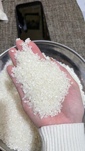 Arroz Japonica de Alta Calidad al por Mayor de Vietnam para Supermercados, Servicios de Alimentos y Compradores Internacionales - Product Image 5