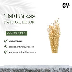 Décoration en herbe Tishi écologique d'intérieur, longue durée, Noël, mariage, Saint-Valentin, fête des mères, événements romantiques, fleurs séchées - Product Image 3