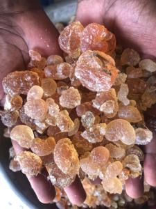 Gomme arabique d'acacia Produit agricole polyvalent naturel et sûr pour une utilisation agricole intensive - Product Image 3