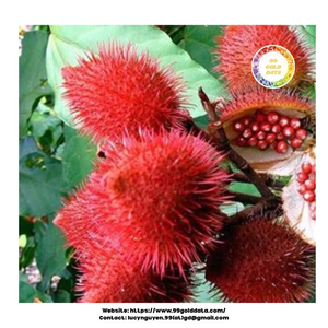 Graines d'annatto d'origine vietnamienne pour colorant alimentaire naturel et emballage de condiments personnalisation OEM offert - Product Image 6