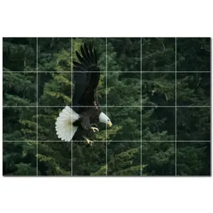 25,5 \ "X 17 \" Mural de pared de pájaros de cerámica PT500203 Juego de 24 azulejos de 4,25 \" - Product Image 1