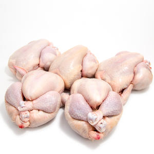 Poulet entier congelé en vrac halal, partie du corps nettoyée, congelé IQF, maintien de la fraîcheur naturelle et du goût premium - Product Image 1
