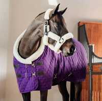 Tapis d'exposition Kentucky 160g-Violet royal
