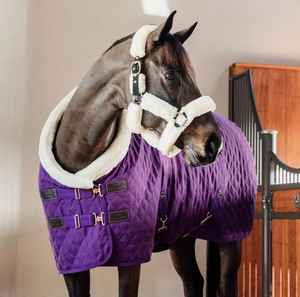 Kentucky 160กรัมแสดงพรม-สีม่วงรอยัล - Product Image 2