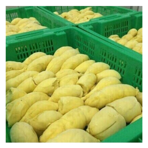 Iqf ทุเรียนแช่แข็งจากเวียดนาม-ส่วนผสมของหวานแปลกใหม่-อุดมไปด้วยรสชาติและกลิ่นหอมด้วย99ข้อมูลทอง - Product Image 6