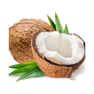 Noix de coco de haute qualité, séchées et matures, en vrac, fournisseur en gros, exportateur, directement de l'usine, pour les détaillants, les commerçants et les distributeurs de noix - Product Image 6