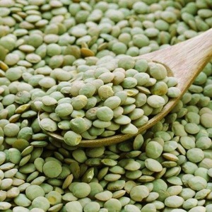 Lentilles séchées biologiques de haute qualité, rouge vif/vert/rouge, 25 kg - Product Image 4