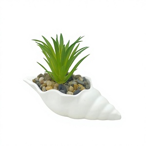 Maceta Moderna de Yeso Ecológica de Diseño Europeo Simple para Plantas Suculentas, Uso en Interiores, Decoración de Centros Comerciales y Pisos - Product Image 2