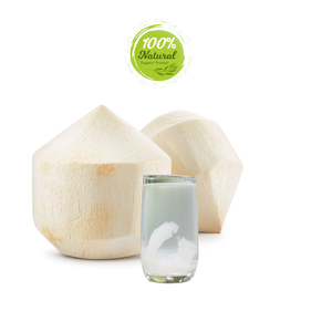 น้ำมะพร้าวปอกเปลือกด้วยเพชรสดที่มีเปลือกสด - Product Image 4