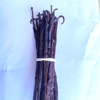Meilleures Ventes Gousses de Vanille Noire Bio de Madagascar de Haute Qualité Gousses de Vanille Bourbon de Ceylan Prix Urgent Planifolia