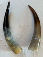 Cornes de vache naturelles polies de qualité supérieure, écologiques et faites à la main, pour la décoration et la boisson, cornes géantes authentiques pour l'artisanat et les objets de collection