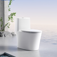 WC monobloc en céramique blanche à chasse d'eau par siphon Tornado, pour salle de bain, à poser au sol