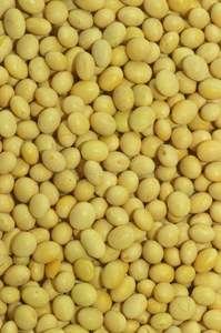 Comida de soja orgánica, comida de soja para animales, precios de comida de soja, comida de soja orgánica, comida de soja - Product Image 4