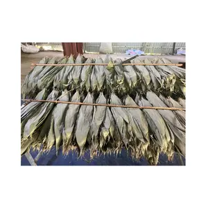 寿司装饰型制造商干竹叶-越南晒干竹叶