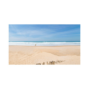 Bûches en bois de hêtre de haute qualité pour le travail du bois disponibles en vrac à un prix avantageux - Product Image 3