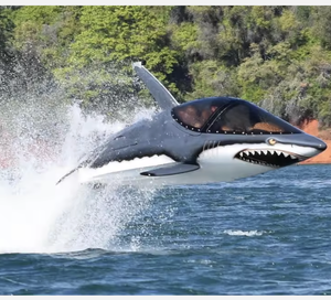 AUTOPARK CALIDAD CALIENTE 2023 / 2024 Fábrica Seabreachers Z Sumergible Watercraft - Product Image 2