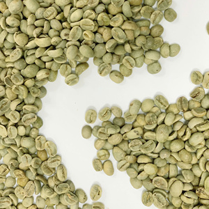 เมล็ดกาแฟออร์แกนิก100% โรบัสต้าที่คั่วใน12.5% มีความชื้นสูง18หน้าจอสะอาดมีความหนาแน่นสูงปลูกในเวียดนาม - Product Image 3