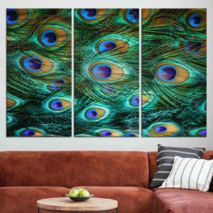 Arte de pared de cristal con plumas de pavo real vibrantes: elegante obra de arte impresa en lienzo, JUEGO DE 3 LIEZNAS - Product Image 1