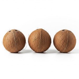 Recién llegado, cocos marrones frescos para compradores globales, perfectos para supermercados y distribución de la industria alimentaria - Product Image 3