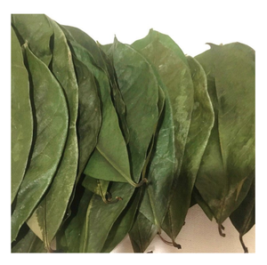 Feuilles de corossol séchées de qualité supérieure, feuilles entières d'Annona Muricata pour le thé, sachet, feuilles en vrac - Product Image 1