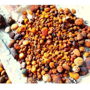 Cálculos biliares de vaca al por mayor, abeja pura natural, entrega rápida, productos auténticos, vendedor de confianza - Product Image 1