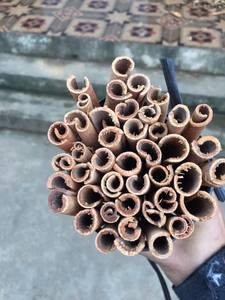 VIETNAM HOT SPICY VIETNAM ESPECIAS CANELA-NUEVA CULTIVA-BUEN GRADO-CONTACTO WS: + 84971629648-Sra. Lona - Product Image 6