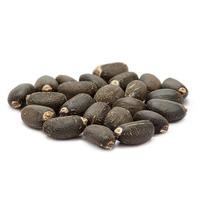 Graines de Jatropha Biologiques Séchées Naturelles de Qualité Supérieure Vente en Gros Grade Supérieur Haute Qualité Jatropha Propre Maturé Extraction d'Huile Culture