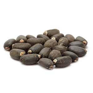 Graines de Jatropha Biologiques Séchées Naturelles de Qualité Supérieure Vente en Gros Grade Supérieur Haute Qualité Jatropha Propre Maturé Extraction d'Huile Culture - Product Image 6