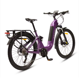 Meilleures Offres pour Vélo Électrique de Livraison de Nourriture TXED 250W avec Moteur Central, Frein à Disque Hydraulique, 7 Vitesses - Product Image 2