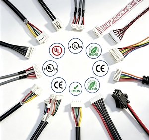 Câblage personnalisé OEM de haute qualité avec connecteurs JST SH GH ZH PH XH à pas de 1,0-2,54 mm, 2/3/4/5/6 broches - Product Image 1