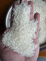 MOLINO DE ARROZ DE MALAWI |   Arroz Jazmín Orgánico Vietnamita Blanco Fresco de Grano Largo 4-6mm |   Mejor Precio para el Mercado de MALAWI +84825431311
