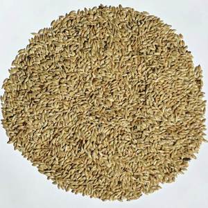 ขายส่งเมล็ดคานารีราคา/เมล็ดคะเนรีสำหรับนก - Product Image 3