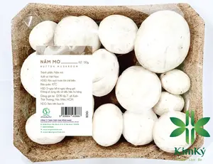 2024 VIETNAM ORGANIC MATERIAL FOR DRY FOOD VEGETABLE FRUIT PACKAGING TAKE AWAY FOOD COCONUT FIBER TRAY 19 X 12 Cm