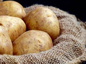 <b>Fresh</b> Organic Yellow <b>Potatoes</b> From France High Quality Export Product - Product Image 4