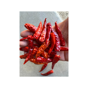 Pimientos de chile rojo secos enteros de calidad superior ideales para cocinar y condimentar picante empaquetado a granel disponible - Product Image 1