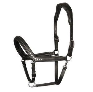 Halter de cuero anatómico indio con Canal ostentoso de cristal, accesorios occidentales para montar a caballo, estilo de sillín inglés - Product Image 1
