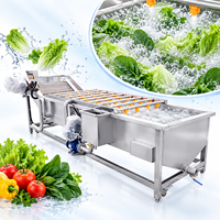 Commercial continu jet d'eau épinards légumes d'ozone machine à laver à bulles de fruits industriels machine à laver les légumes