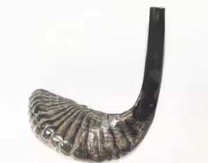 Shofar de cuerno de carnero natural Premium a la venta Producto de Crescent Crafts - Product Image 1