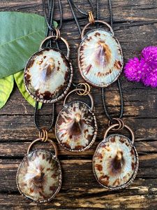 Hermosas conchas de Lapa, artesanía natural hecha a mano de Vietnam, hermosas conchas de Lapa, perfectas para recuerdos, joyería y comercio de exportación - Product Image 4