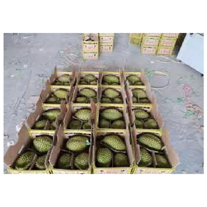Produits frais à base de fruits Durian Options de Durian surgelés disponibles au Viet Nam - Product Image 3